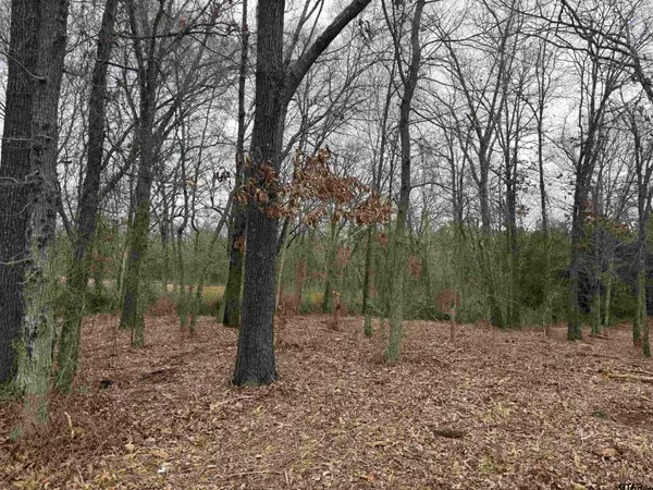 TBD Florence St. Lot 7, Grand Saline, TX 75140