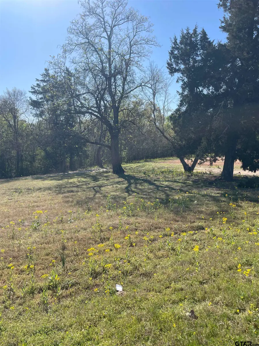 TBD N Main St, Winnsboro, TX 75494 - #2