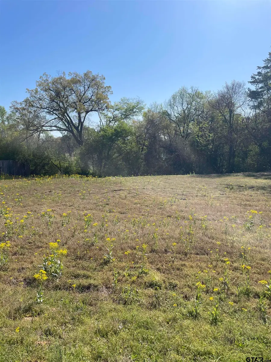 TBD N Main St, Winnsboro, TX 75494 - #3
