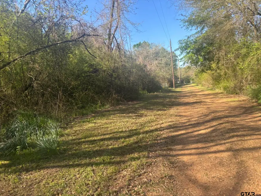TBD Maloney, Pittsburg, TX 75686 - #2