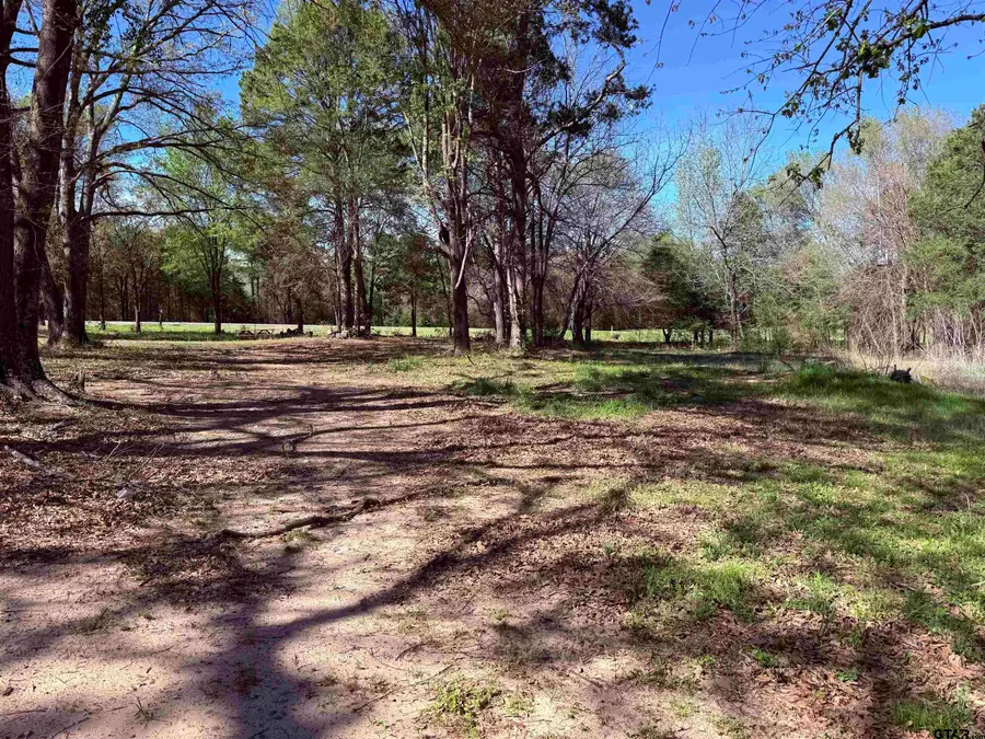 3842 N HWY 37, Quitman, TX 75783 - #3