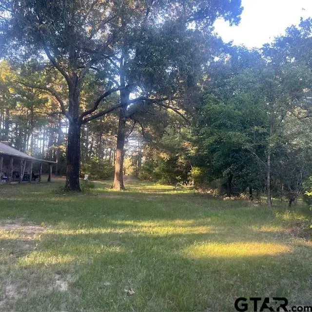 205 County Road 2880, Mineola, TX 75773 - #3