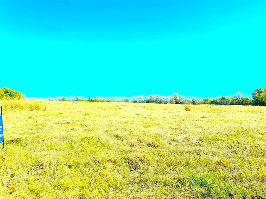 1176 FM 515, Winnsboro, TX 75494 - #2