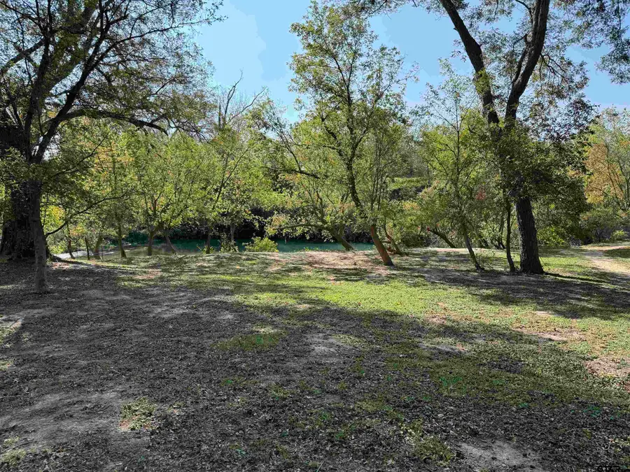 Lot 2 Tatum, Martindale, TX 78655 - #2