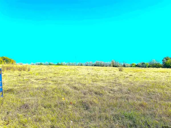 1176 W FM 515, Winnsboro, TX 75494