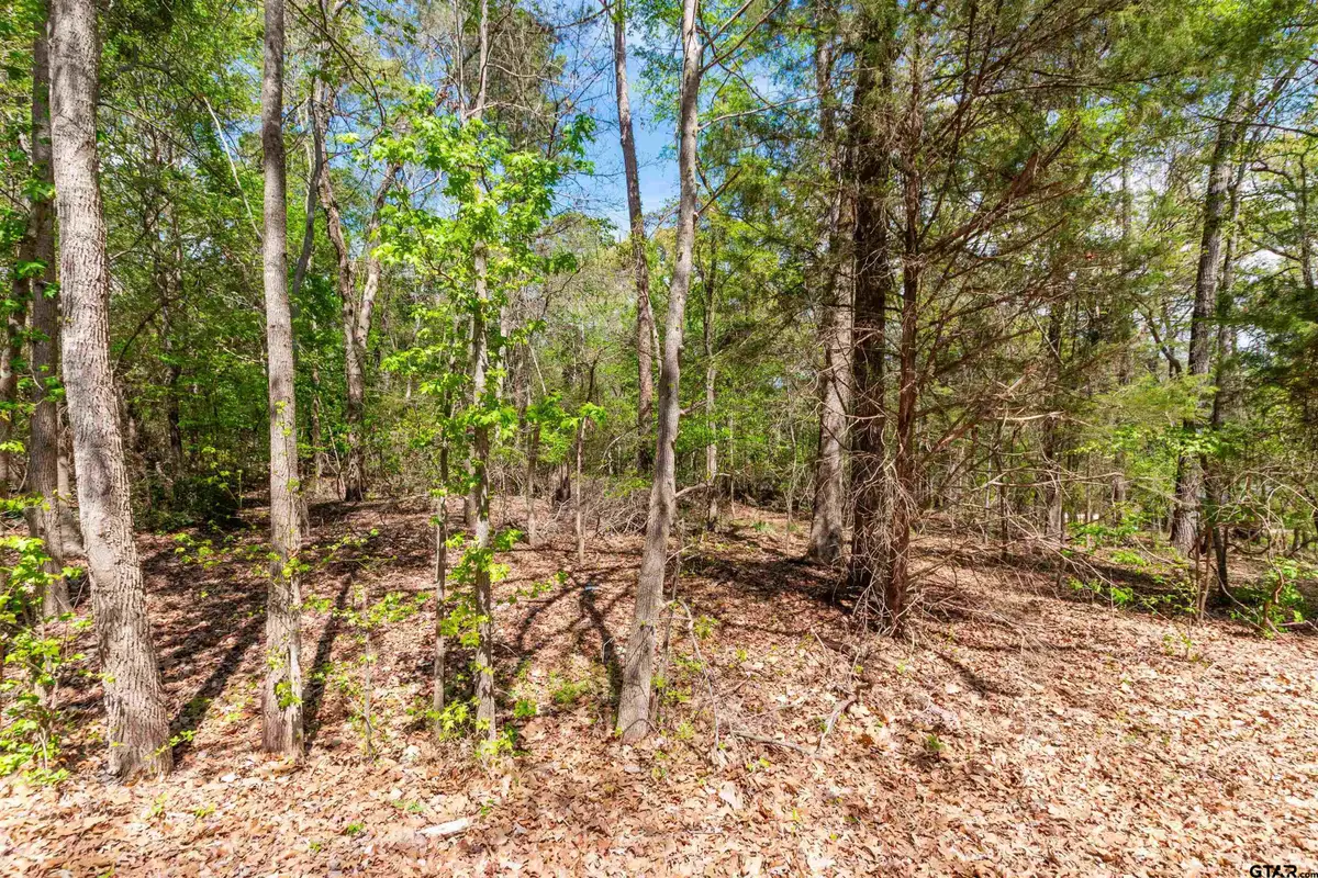 TBD CR 2337, Tyler, TX 75707 - #1