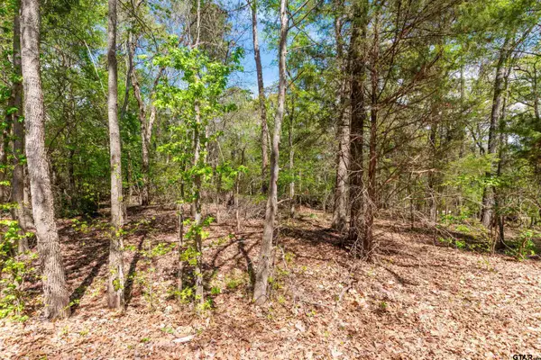 TBD CR 2337, Tyler, TX 75707