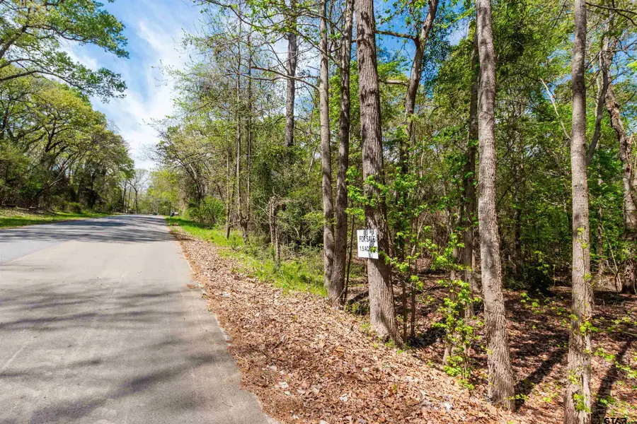 TBD CR 2337, Tyler, TX 75707 - #3