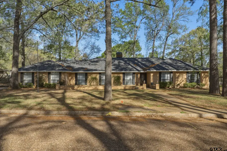 412 Nathan Dr, Quitman, TX 75783 - #2