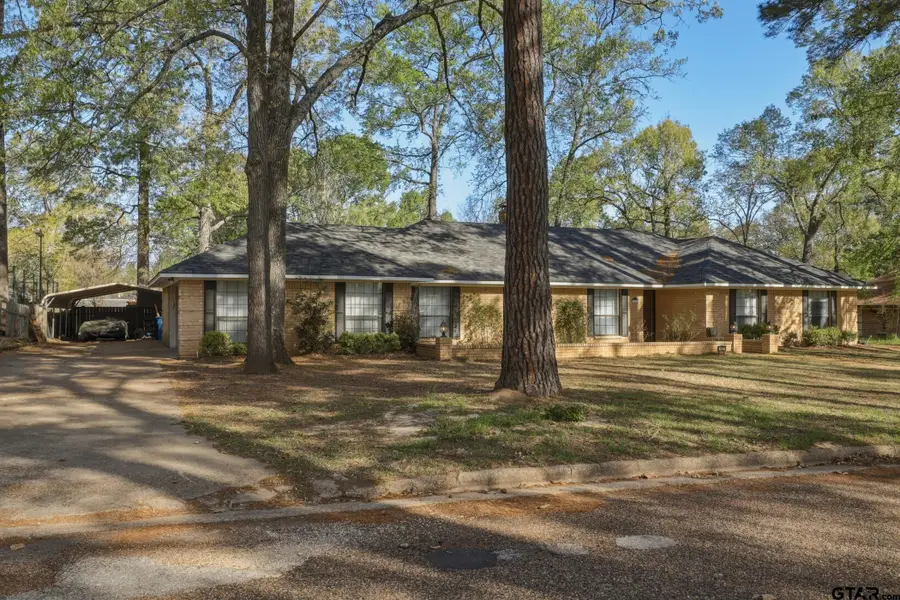 412 Nathan Dr, Quitman, TX 75783 - #3