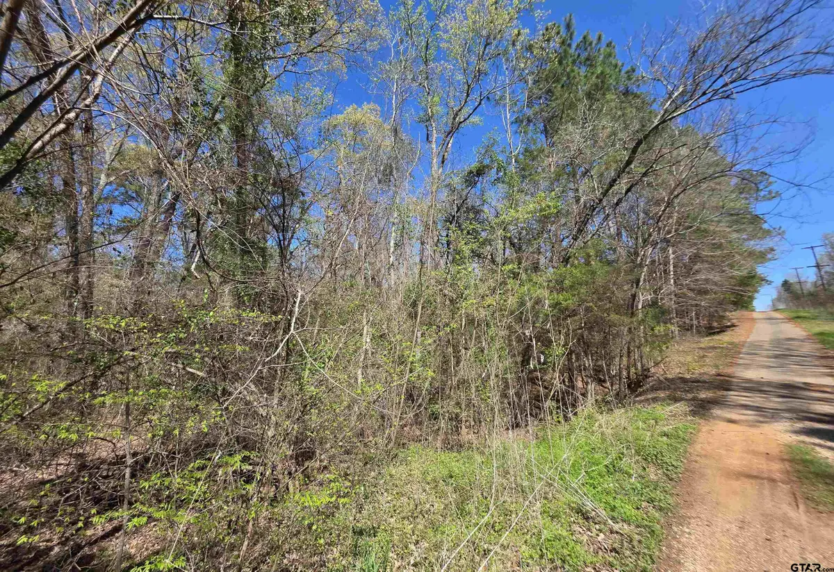 995 Balmorea Dr, Bullard, TX 75757 - #1