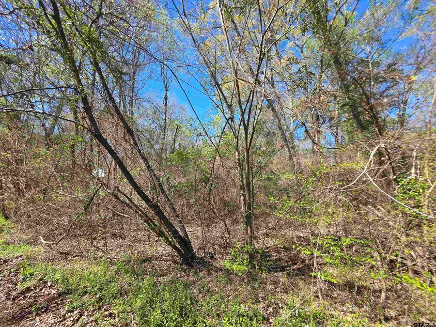 995 Balmorea Dr, Bullard, TX 75757 - #2