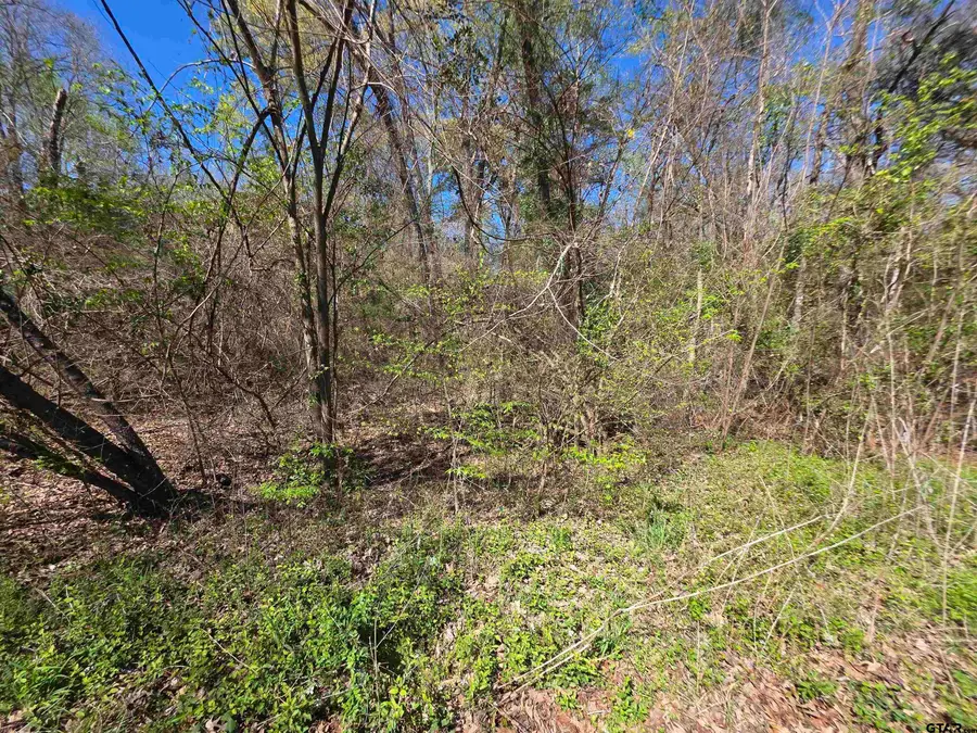 995 Balmorea Dr, Bullard, TX 75757 - #3