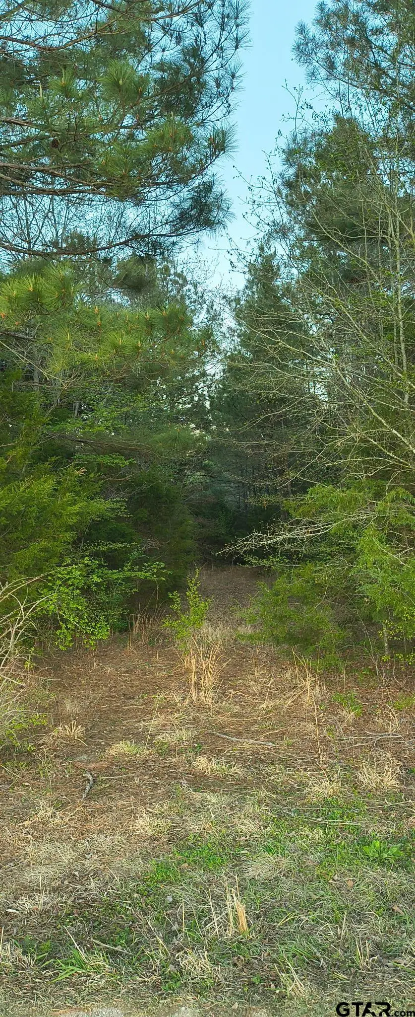 10834 County Road 4162, Tyler, TX 75704 - #1