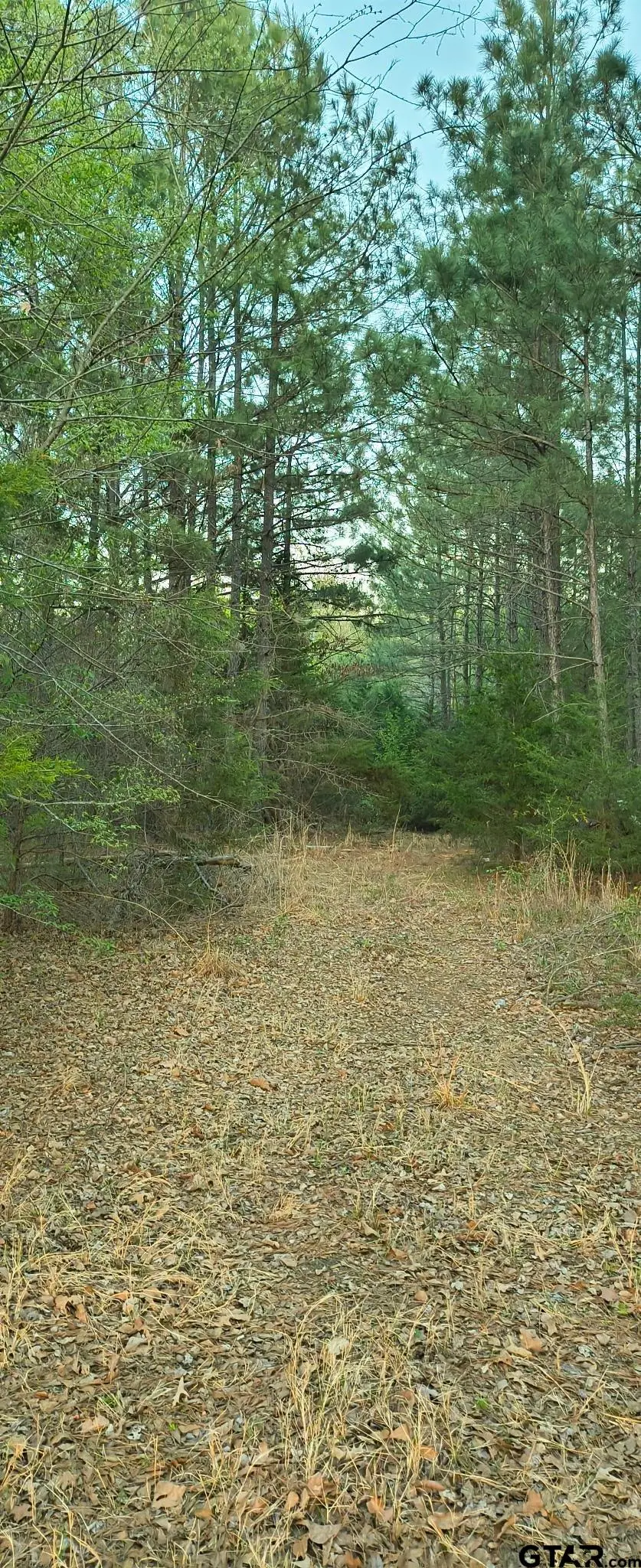 10834 County Road 4162, Tyler, TX 75704 - #2