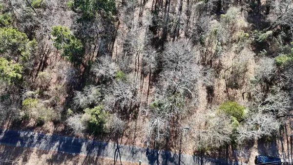 TBD King Harry Ct., Scroggins, TX 75480