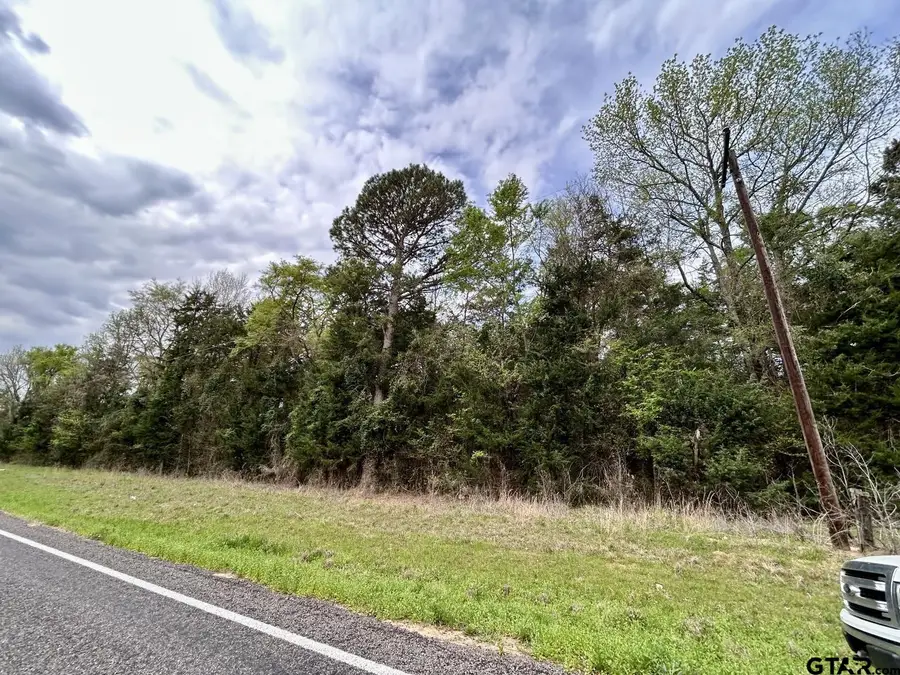 TBD Lot 3 FM 1519, Leesburg, TX 75451 - #2