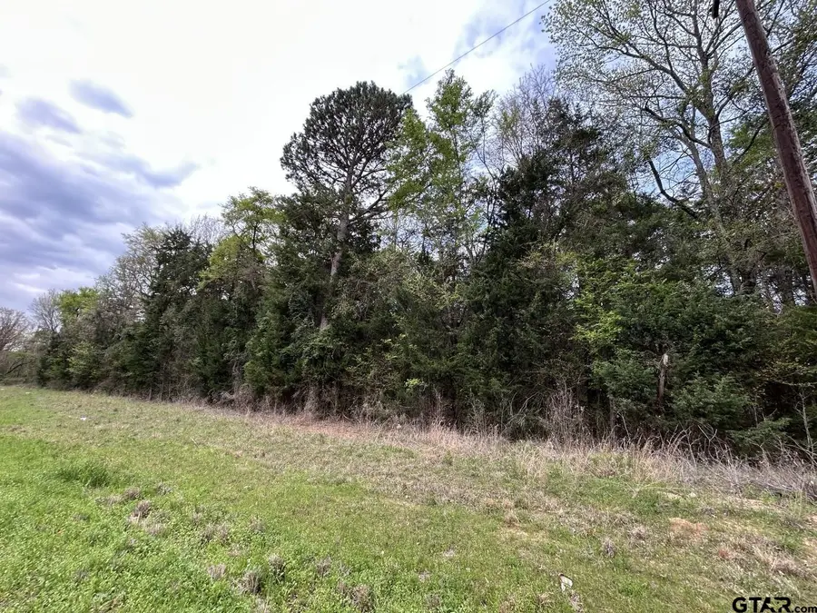 TBD Lot 3 FM 1519, Leesburg, TX 75451 - #3