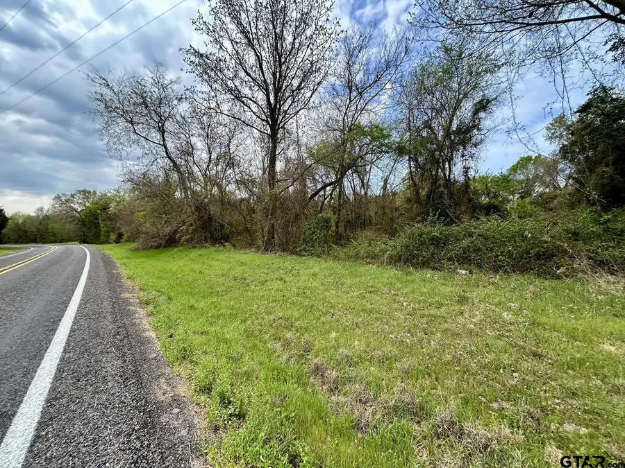 TBF Lot 5 FM 1519, Leesburg, TX 75451 - #2
