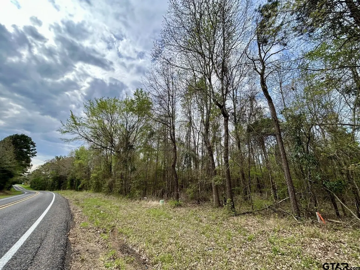 TBD Lot 7 FM 1519, Leesburg, TX 75451 - #1