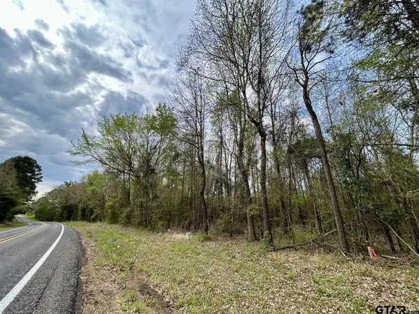 TBD Lot 7 FM 1519, Leesburg, TX 75451