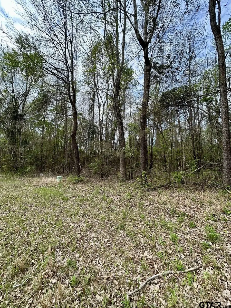 TBD Lot 7 FM 1519, Leesburg, TX 75451 - #2