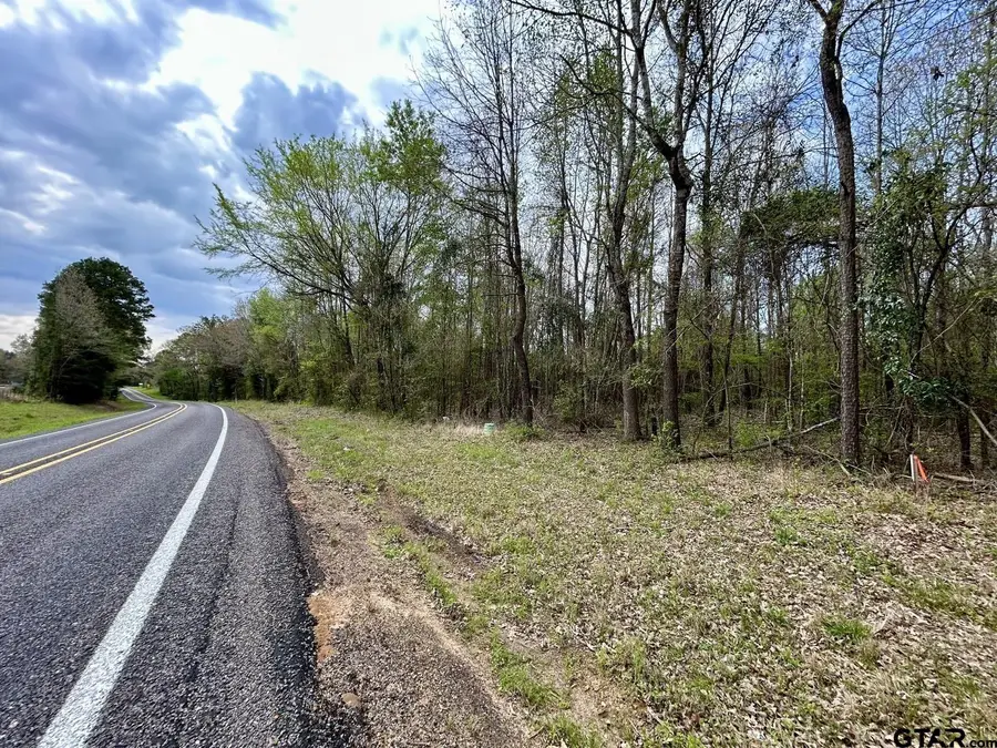 TBD Lot 7 FM 1519, Leesburg, TX 75451 - #3