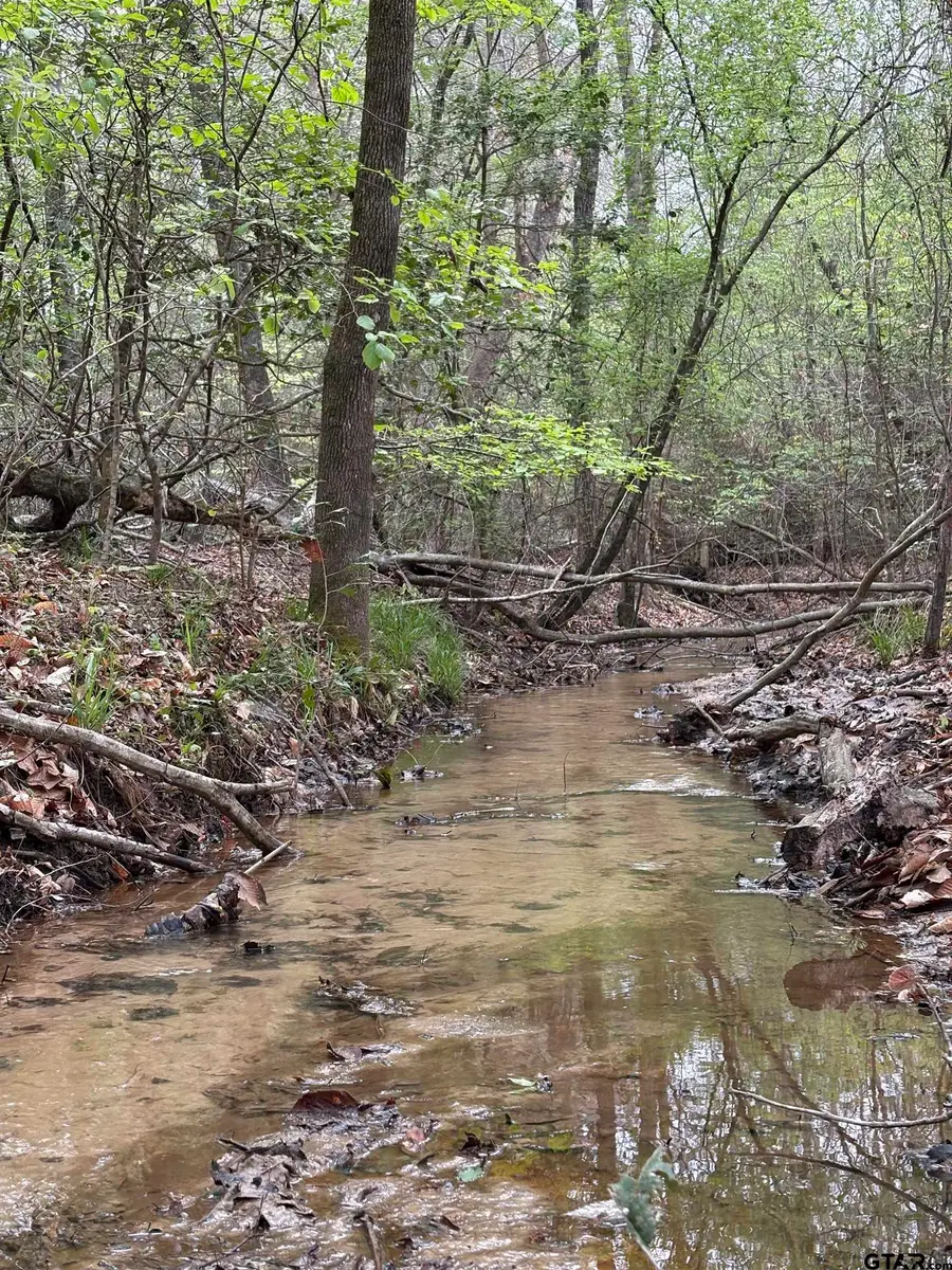 TBD FM 711, Center, TX 75935 - #2