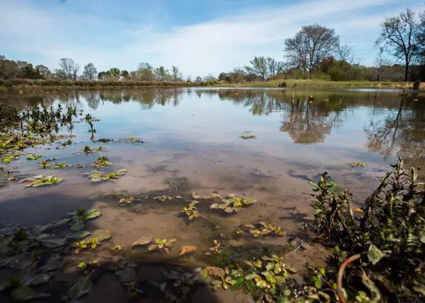 000 County Road 334, Palestine, TX 75803