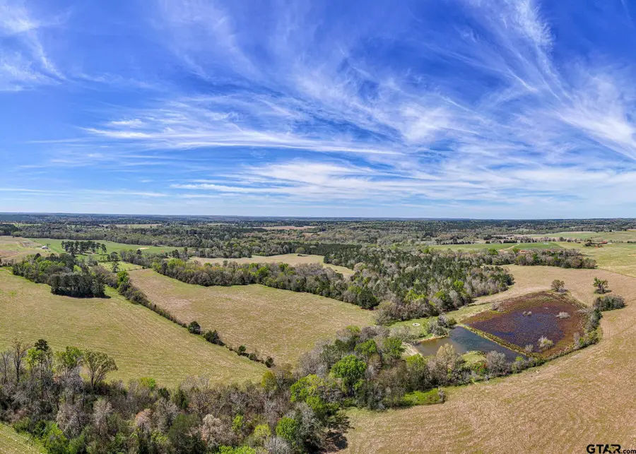000 County Road 334, Palestine, TX 75803 - #3