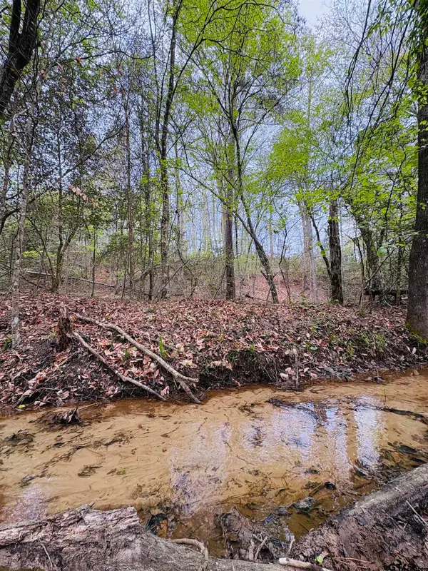 TBD (Tract A) FM 711, Center, TX 75935