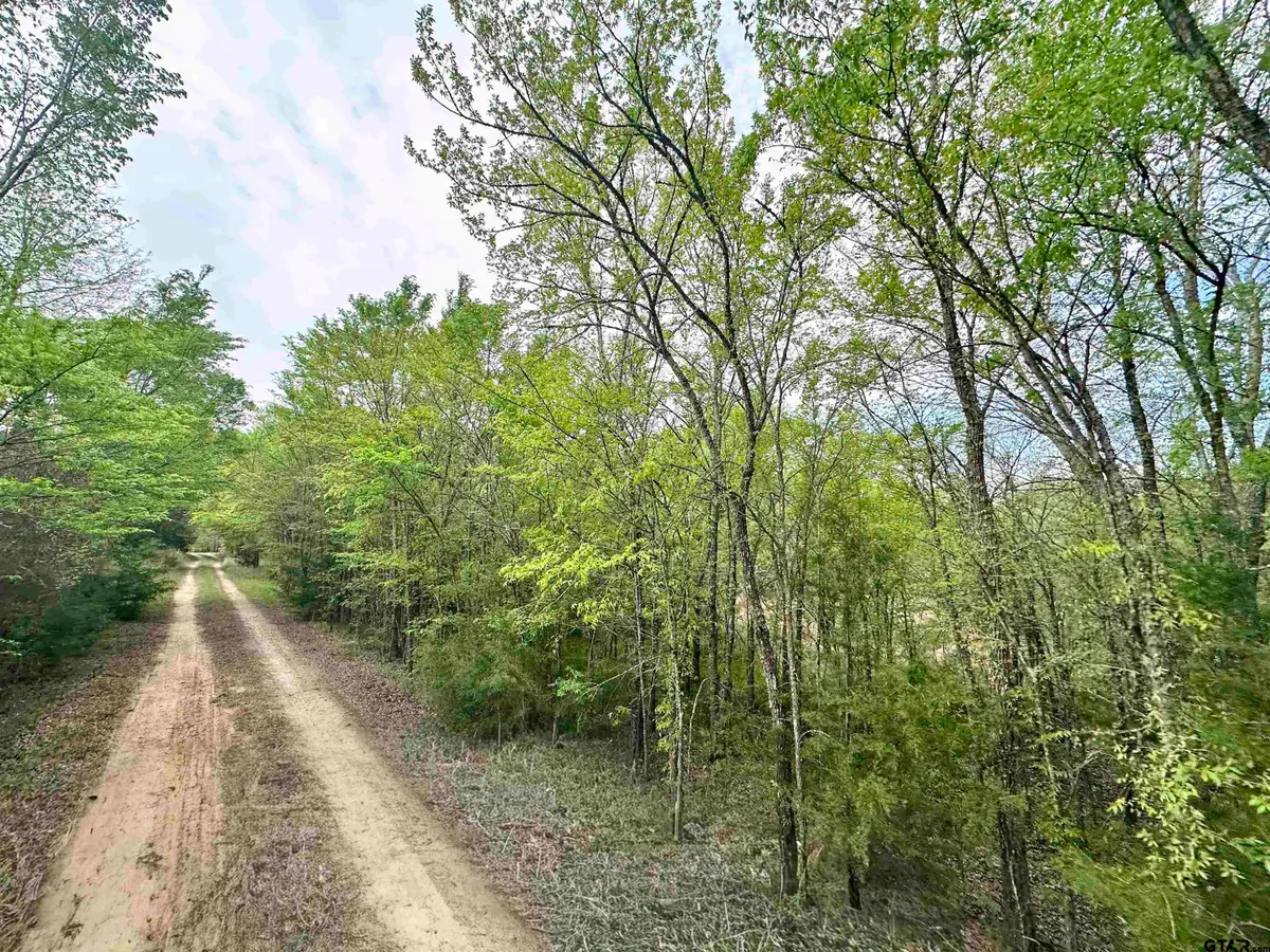 0 CR 3508, Murchison, TX 75778 - #1