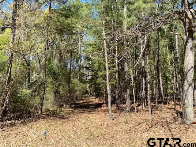 TBD Armadillo Drive, Murchison, TX 75778 - #1