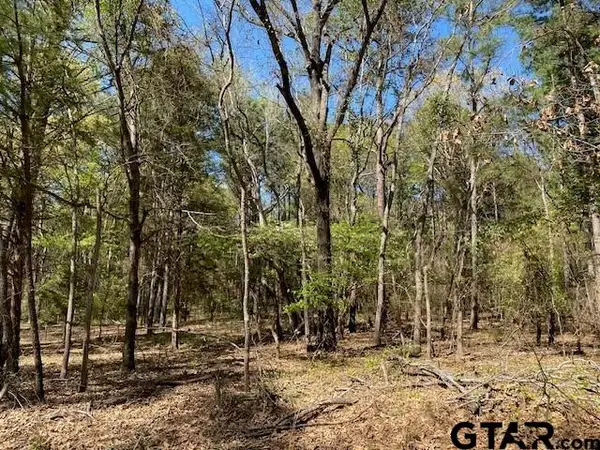 TBD Armadillo Drive, Murchison, TX 75778