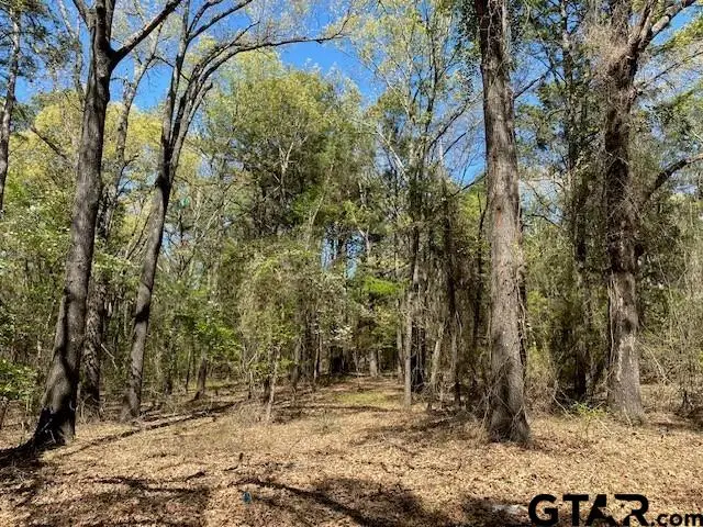 tbd Broad Meadow, Murchison, TX 75778 - #3