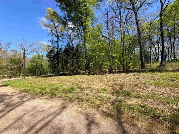 LOT 1&2 Pelican Drive, Winnsboro, TX 75494