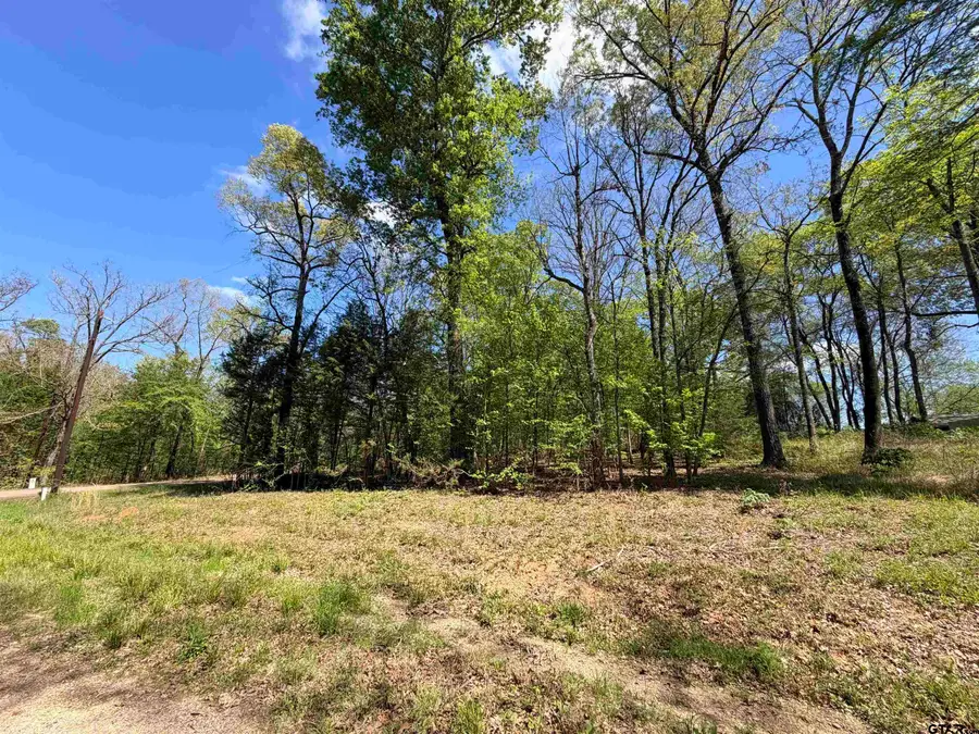 LOT 1&2 Pelican Drive, Winnsboro, TX 75494 - #3
