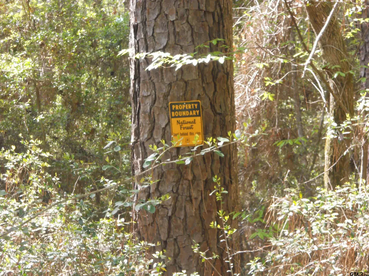 627 CR 3373, San Augustine, TX 75972 - #1