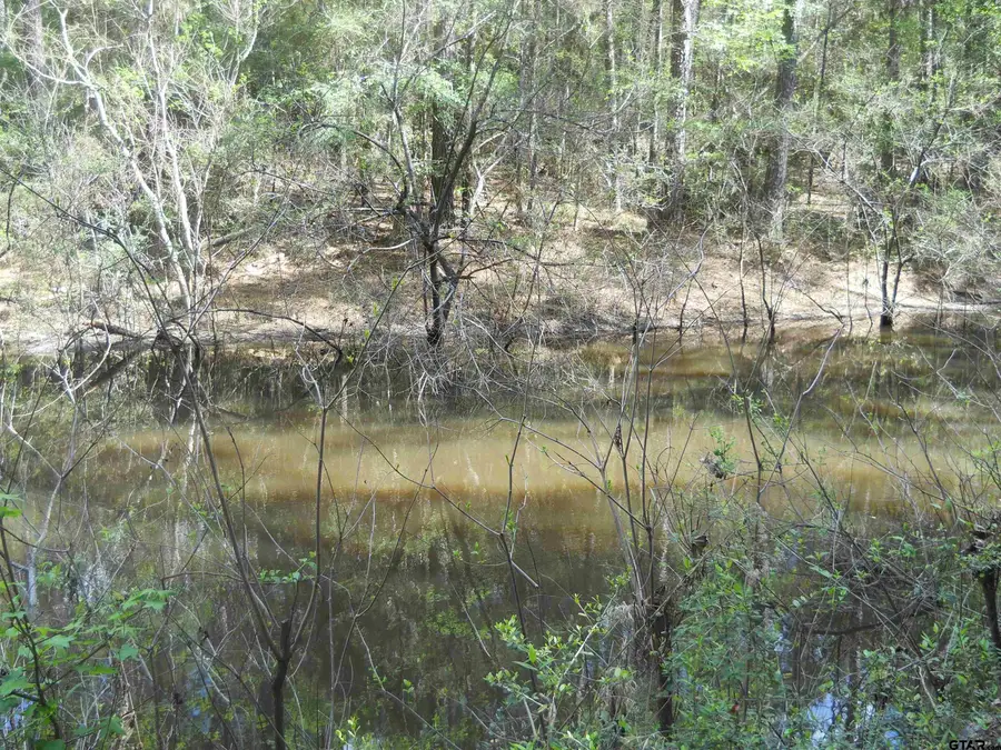 627 CR 3373, San Augustine, TX 75972 - #3