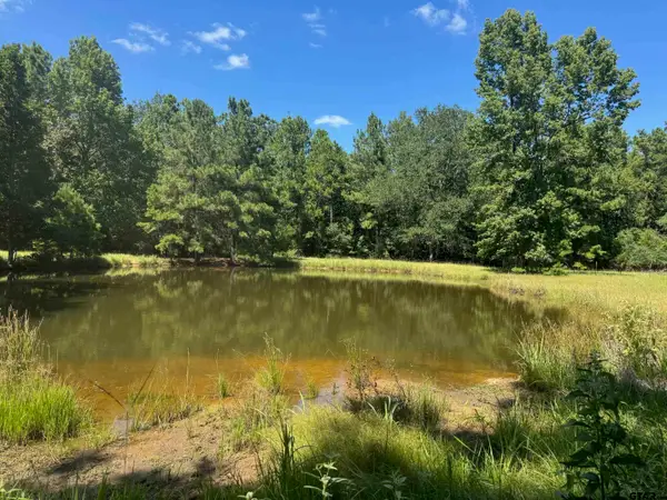 390 PR 5200, Kennard, TX 75847