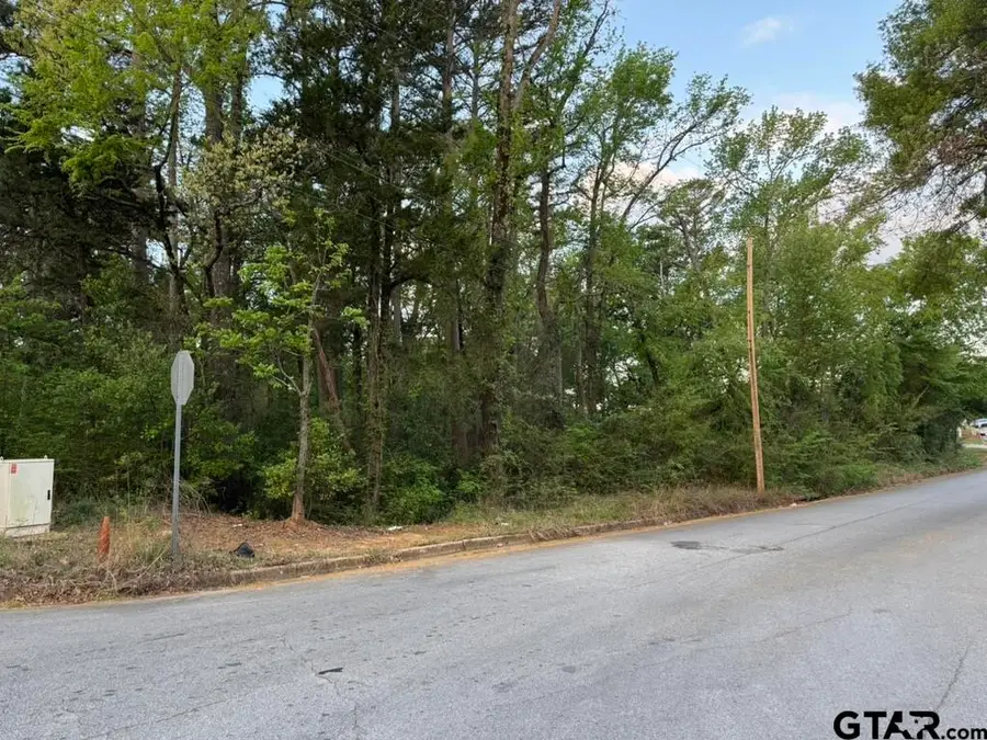 329 Wilma St, Tyler, TX 75701 - #2