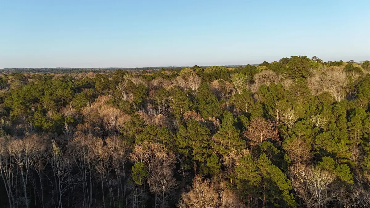 000 FM 137, Elkhart, TX 75839 - #1