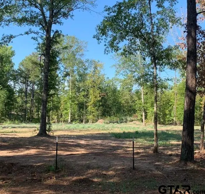 Lot 3 Waldron Ferry, Hallsville, TX 75650 - #1