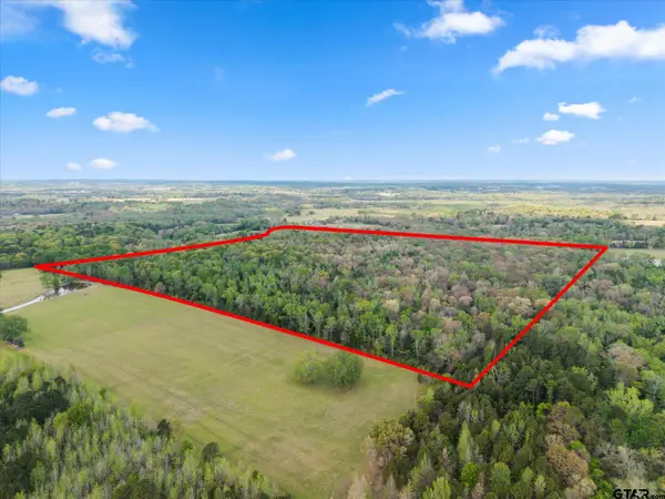 TBD CR 4390, Winnsboro, TX 75494