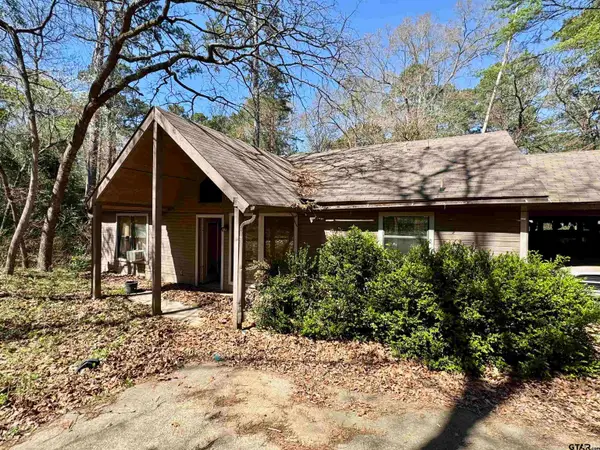 326 Blue Water Ln., Holly Lake Ranch, TX 75765