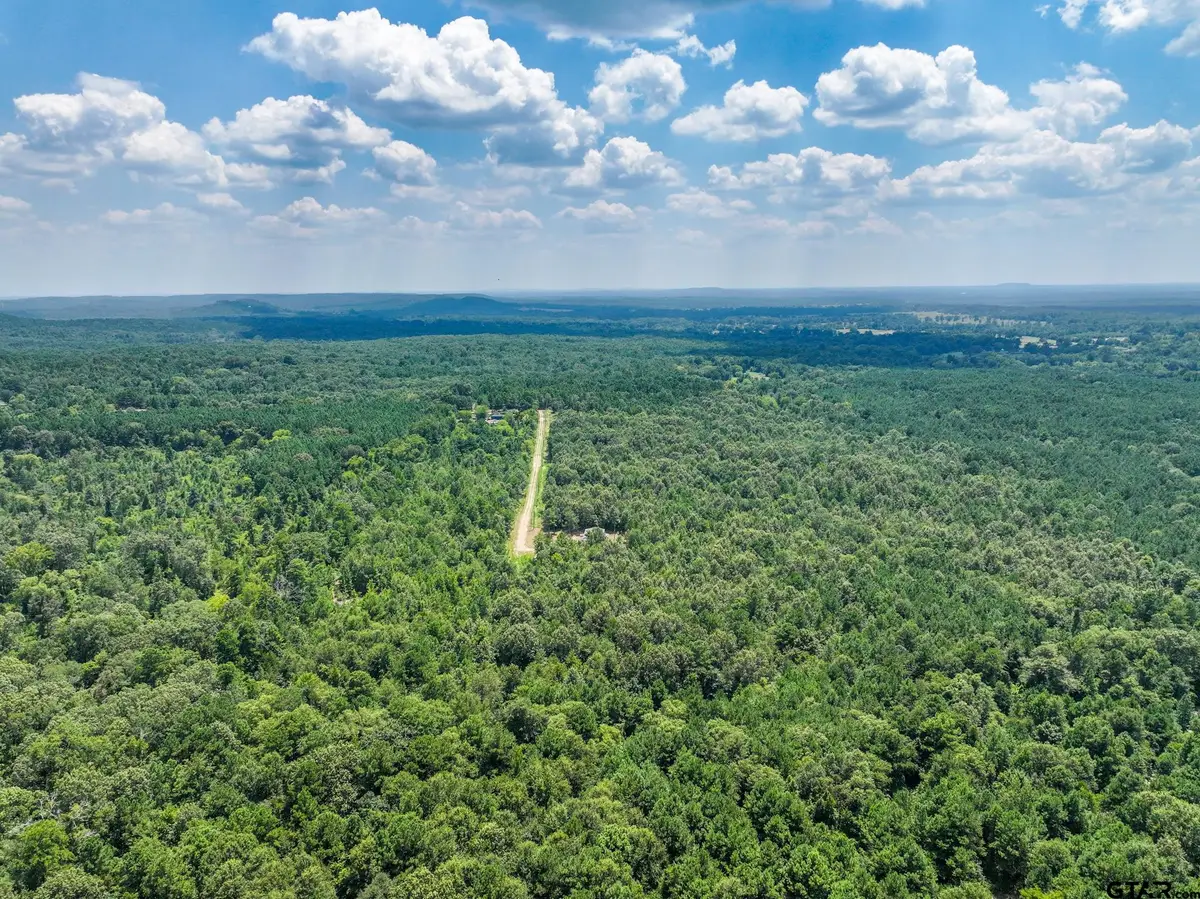 229 Pr 3900 Rd, Gilmer, TX 75644 - #1