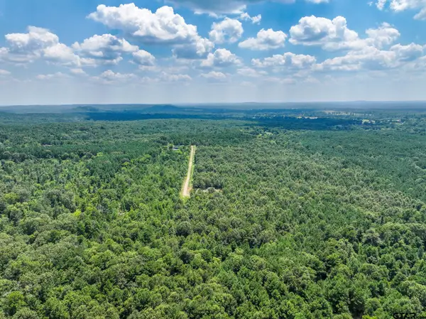 229 Pr 3900 Rd, Gilmer, TX 75644