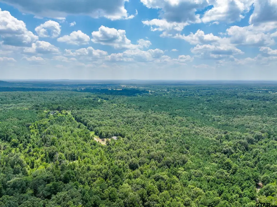 229 Pr 3900 Rd, Gilmer, TX 75644 - #3
