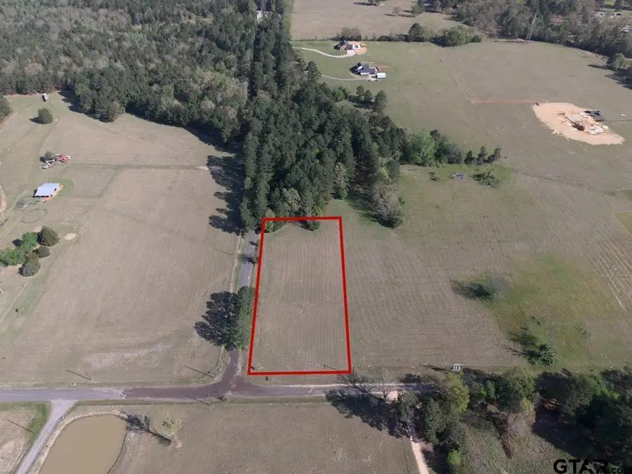 11424 County Road 4128 Lot 1A, Lindale, TX 75771 - #2