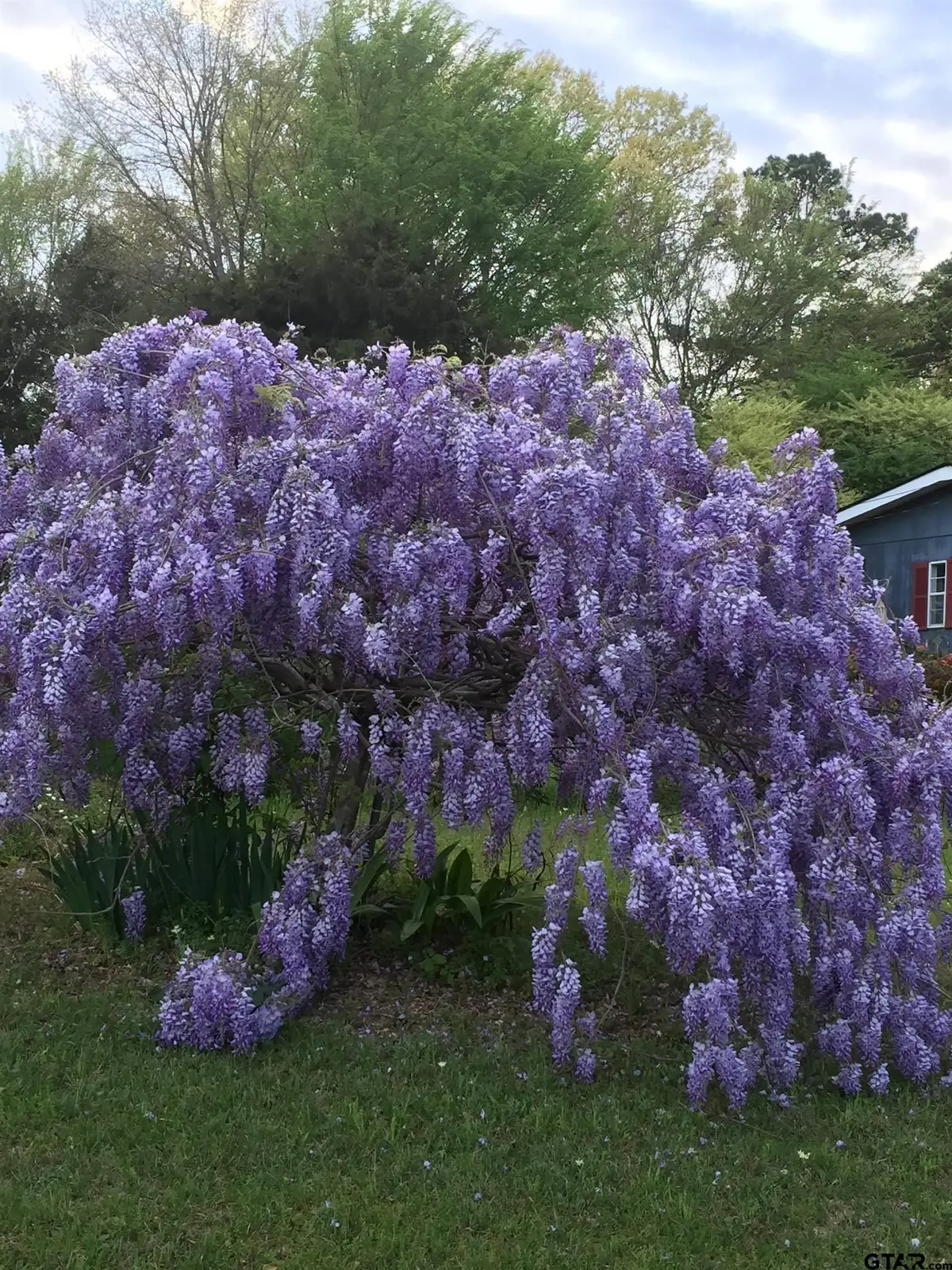 2318 PLUME, Tyler, TX 75703 - #1